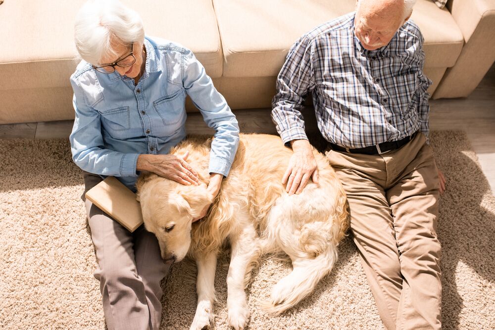 happy senior couple cuddling with pet dog